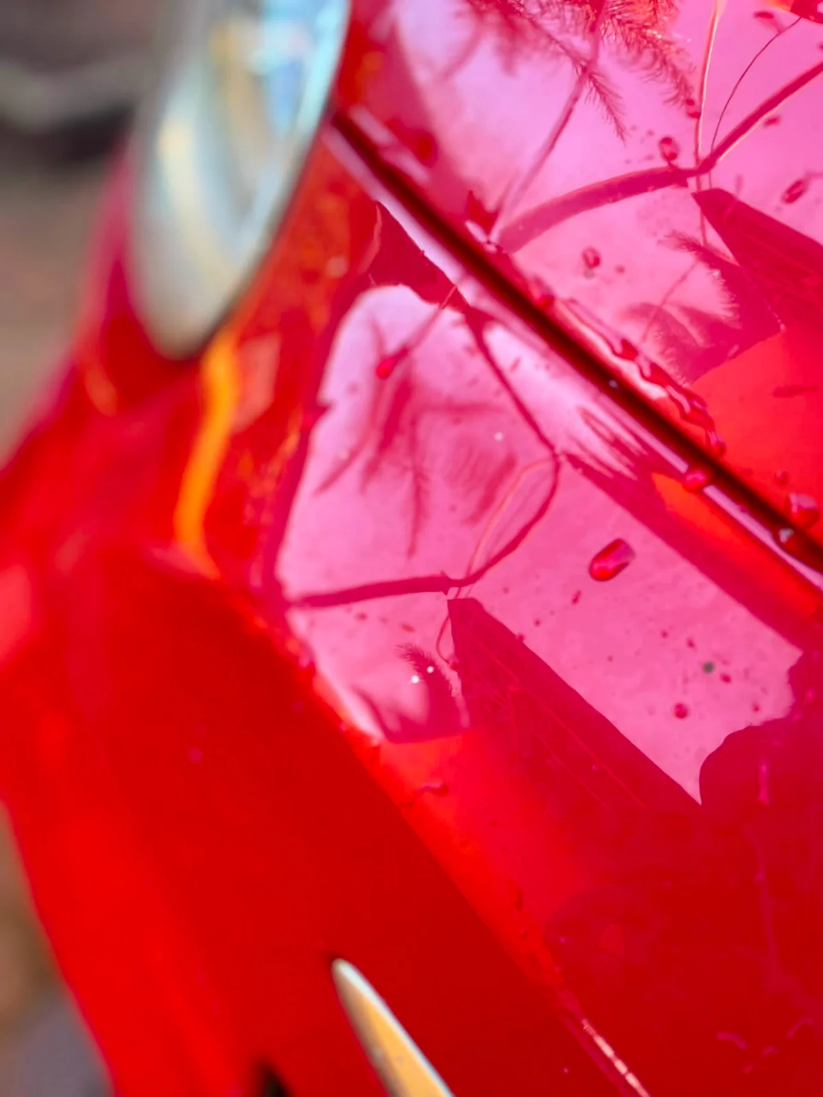 Ceramic Coating — Featured
