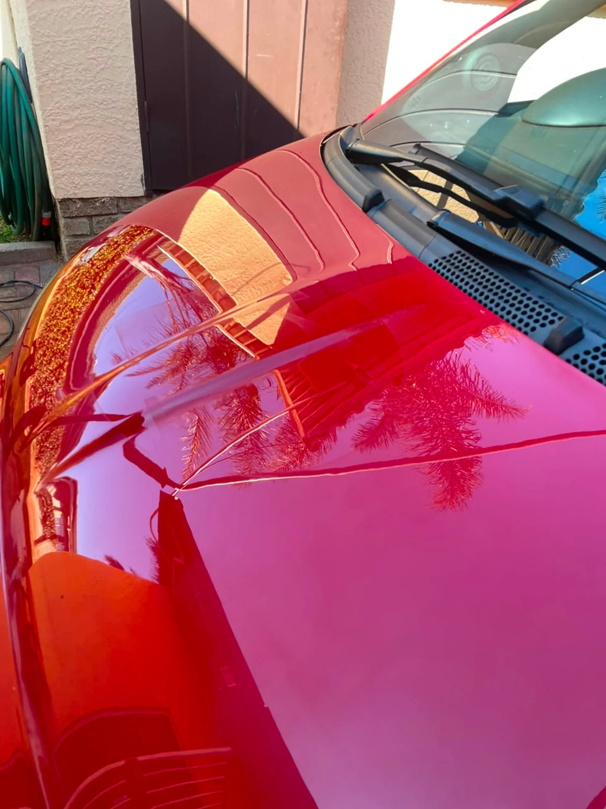 2 Step Paint Correction — HEAVY CUT